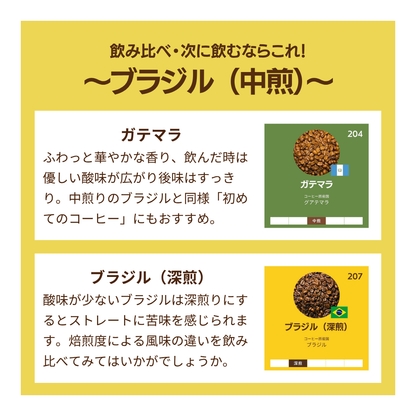 ブラジル〔中煎〕